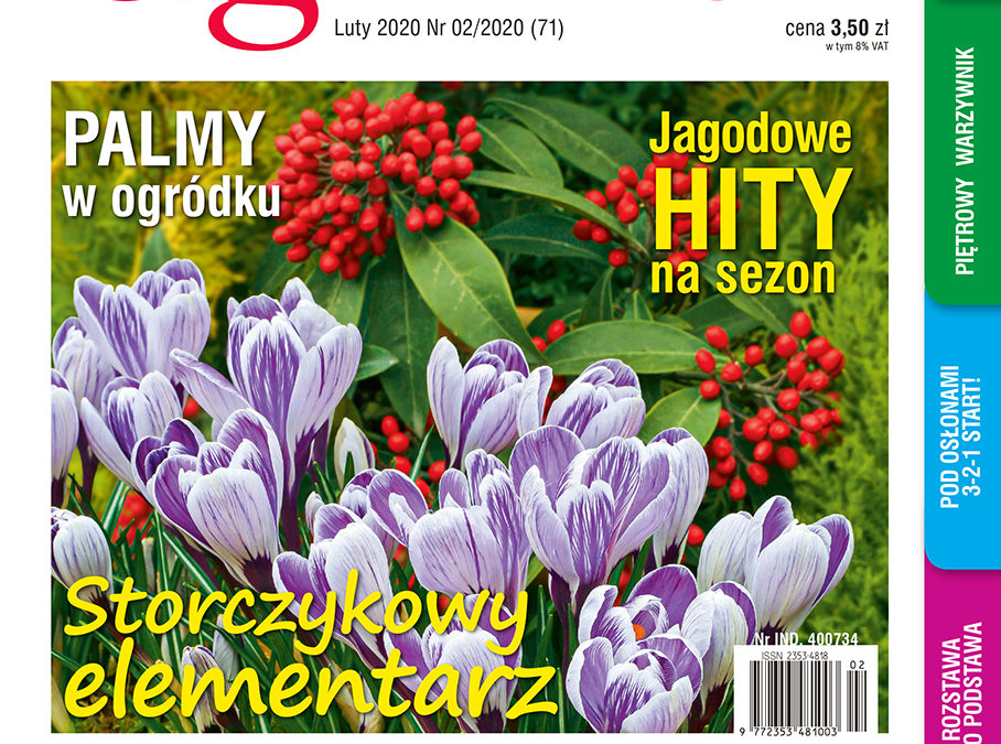 Lutowy numer na rynku od 21 stycznia! „Mój Ogródek” – poradnik ogrodniczy każdego działkowca i ogrodnika