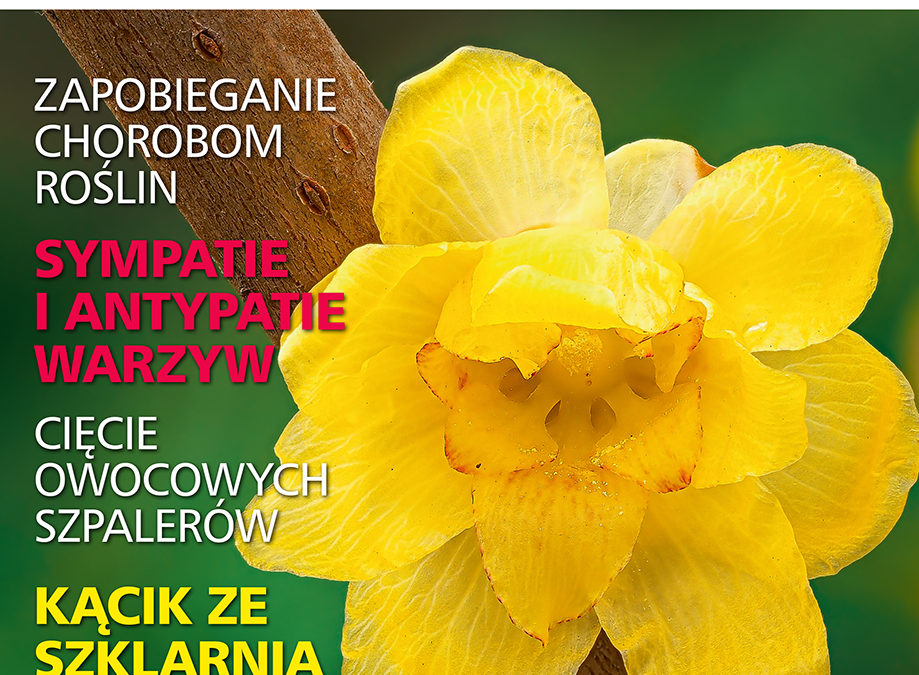Czytajcie „działkowca”!