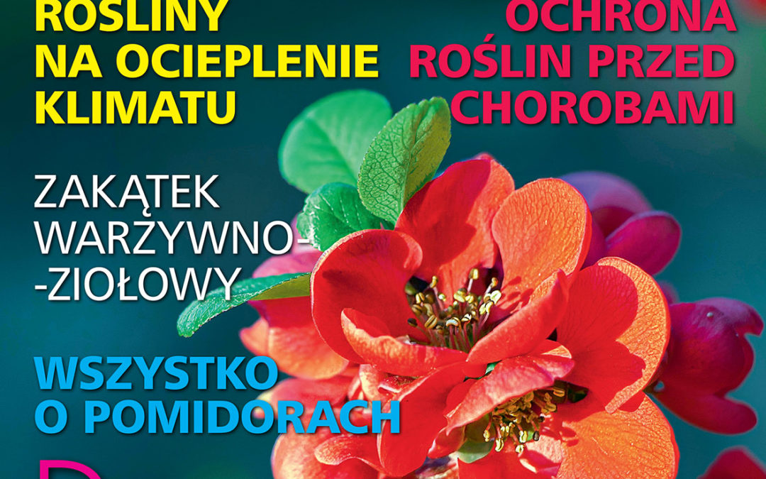 Czytajcie „działkowca”!