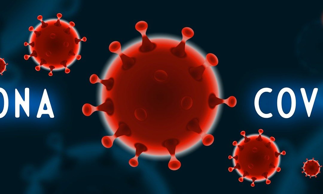 Komunikat Krajowego Zarządu PZD z dnia 21 kwietnia 2020 roku o sytuacji w ROD podczas trwającego stanu epidemii