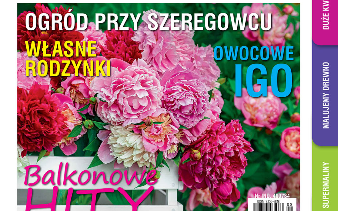 Lutowy „Mój Ogródek” – od 20.01 w sprzedaży! Kup, przeczytaj, poleć innym działkowcom i ogrodnikom!