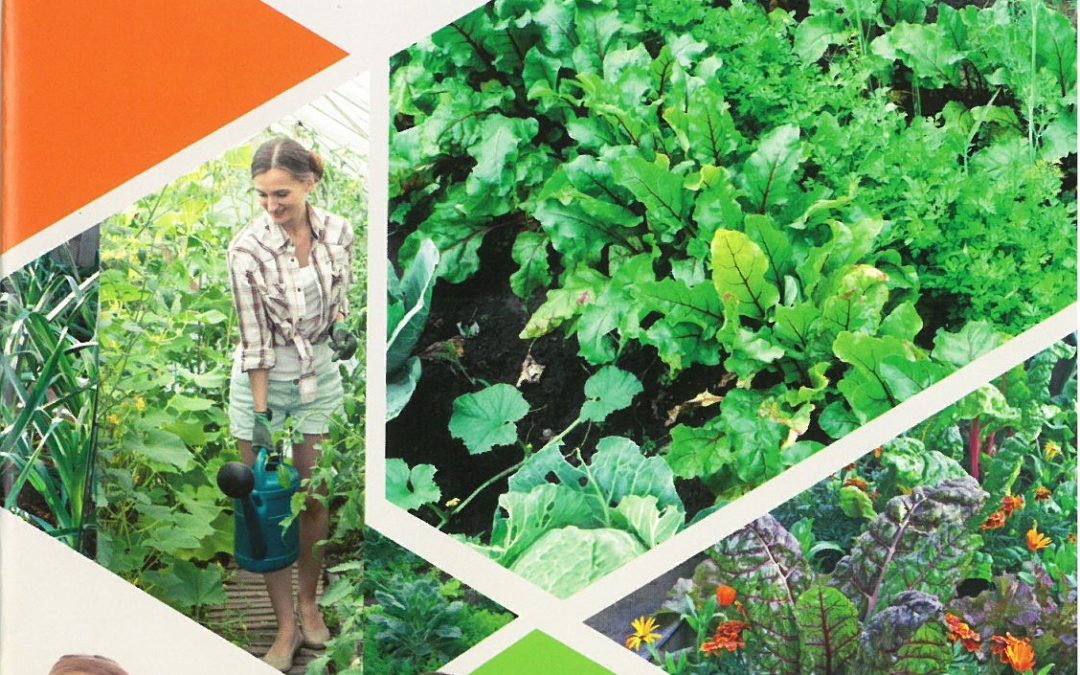 Nowa Broszura „Warzywnik intensywnie”