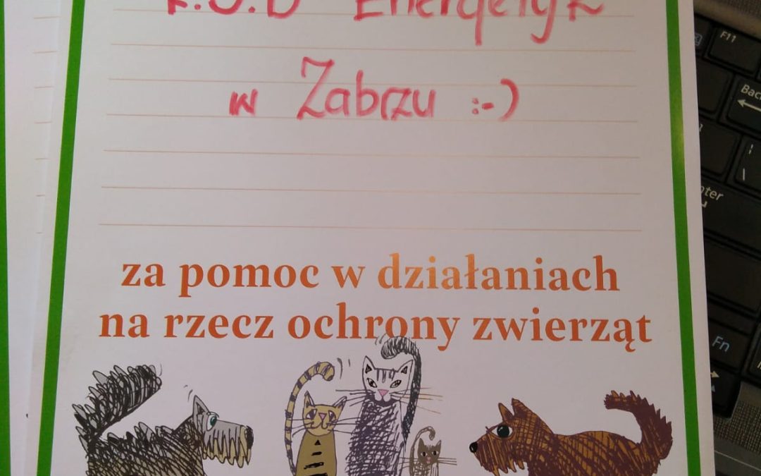 ROD „Energetyk” w Zabrzu organizuje pomoc zwierzętom