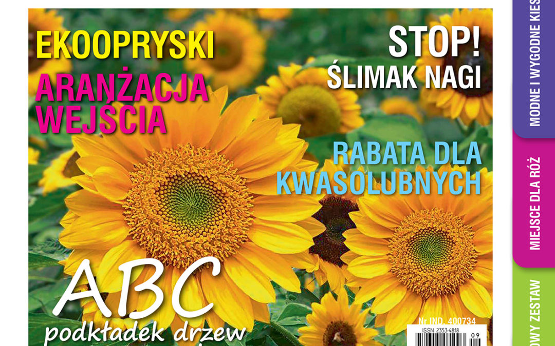 Wrześniowy „Mój Ogródek” na rynku od 25 sierpnia! Kup, przeczytaj, koniecznie poleć innym działkowcom!
