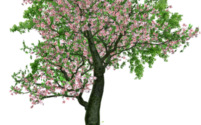 Gdy działkowcy są razem, PZD jest nie do zatrzymania!