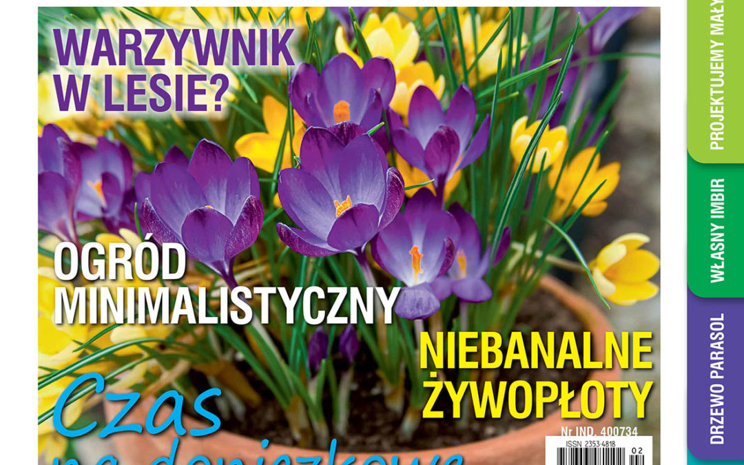 Lutowy numer „Mojego Ogródka” w sprzedaży od 18 stycznia