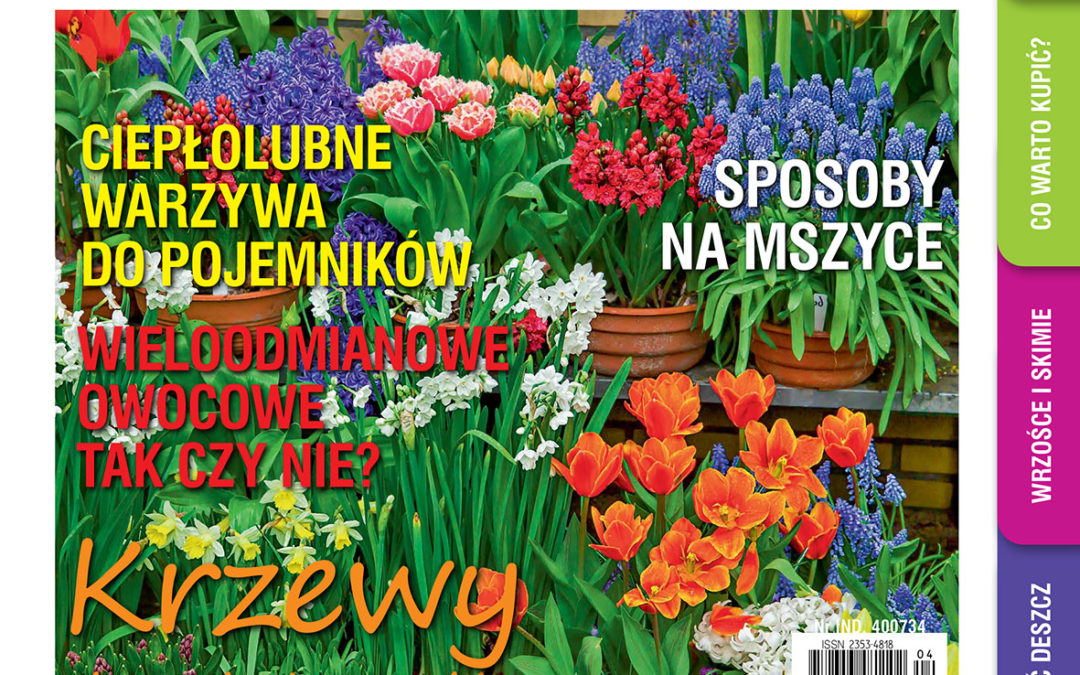 Od 20.04 w sprzedaży majowy „Mój Ogródek”! Przeczytaj i poleć innym działkowcom!