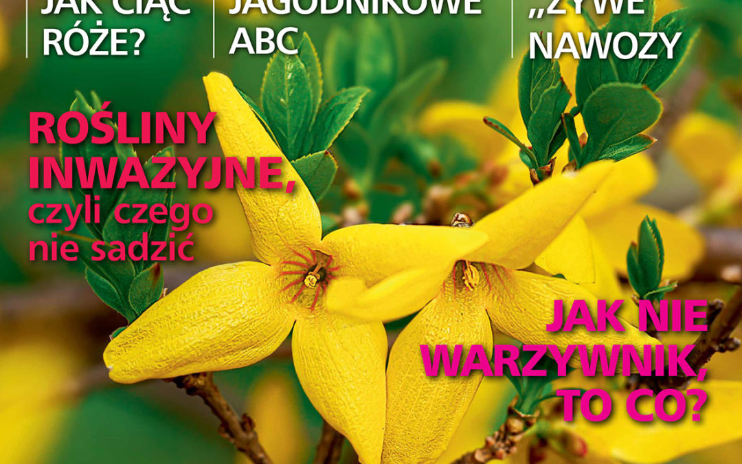 Czytajcie „działkowca”!