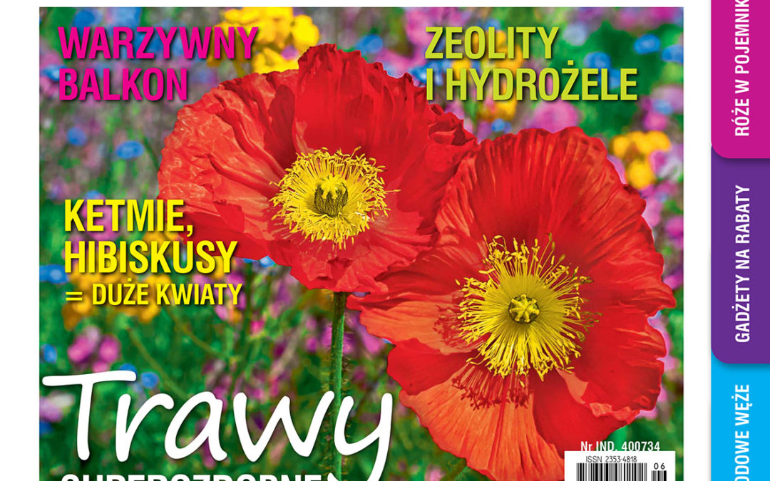 Czerwcowy numer „Mojego Ogródka” dostępny od dziś na rynku!
