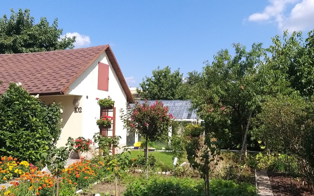 Nadchodzi wiosna! Zadbaj o swoją altanę!