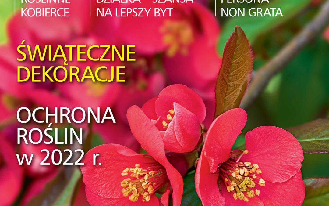 Czytajcie „działkowca”!