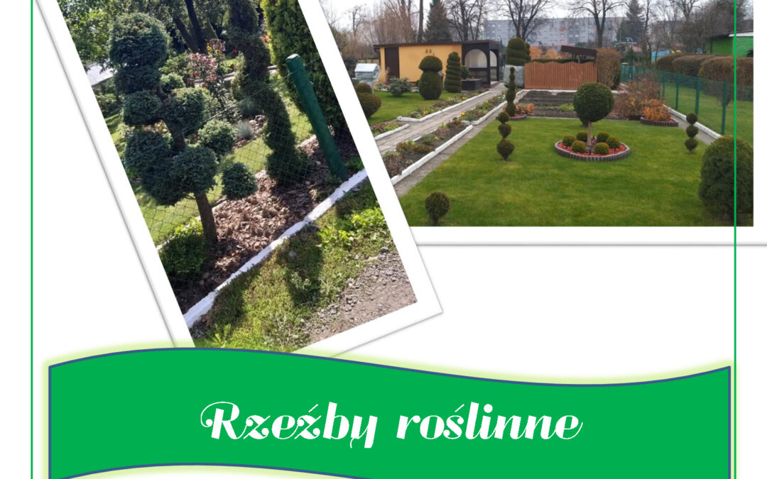Konkurs fotograficzny Rzeźby Roślinne