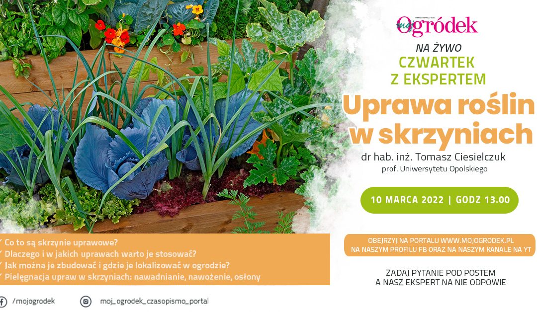 Czy, aby na pewno wiesz wszystko o uprawie roślin w skrzyniach? Przekonaj się! Dołącz do live „Uprawa roślin w skrzyniach”