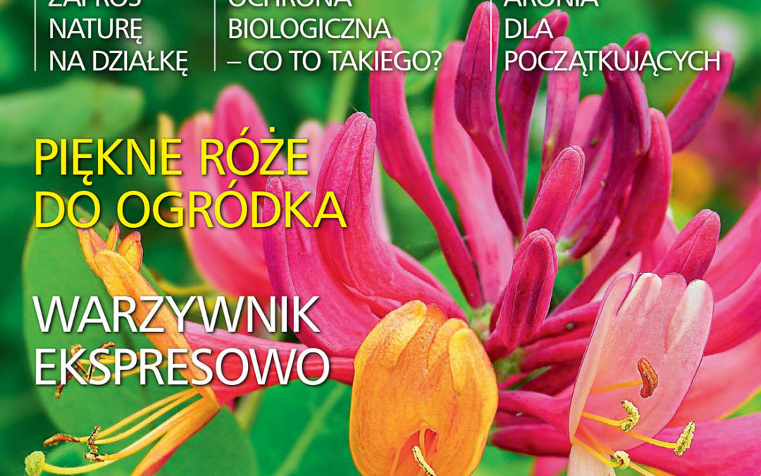 Czytajcie „działkowca”!