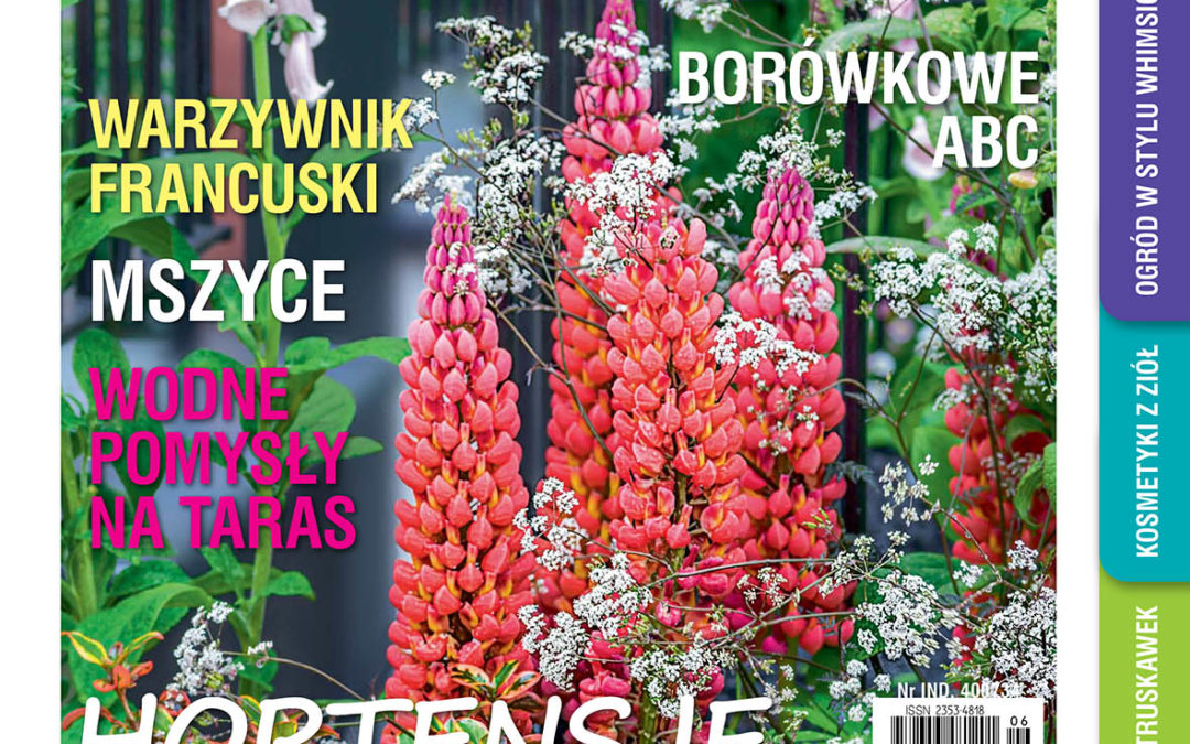 Czerwcowy „Mój Ogródek” – od 20.05 w sprzedaży! Kup, przeczytaj, poleć innym działkowcom i ogrodnikom!