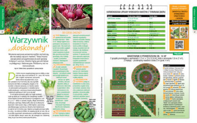 Lipcowy „Mój Ogródek” – od 20.06 w sprzedaży! Kup, przeczytaj, poleć innym działkowcom i ogrodnikom!