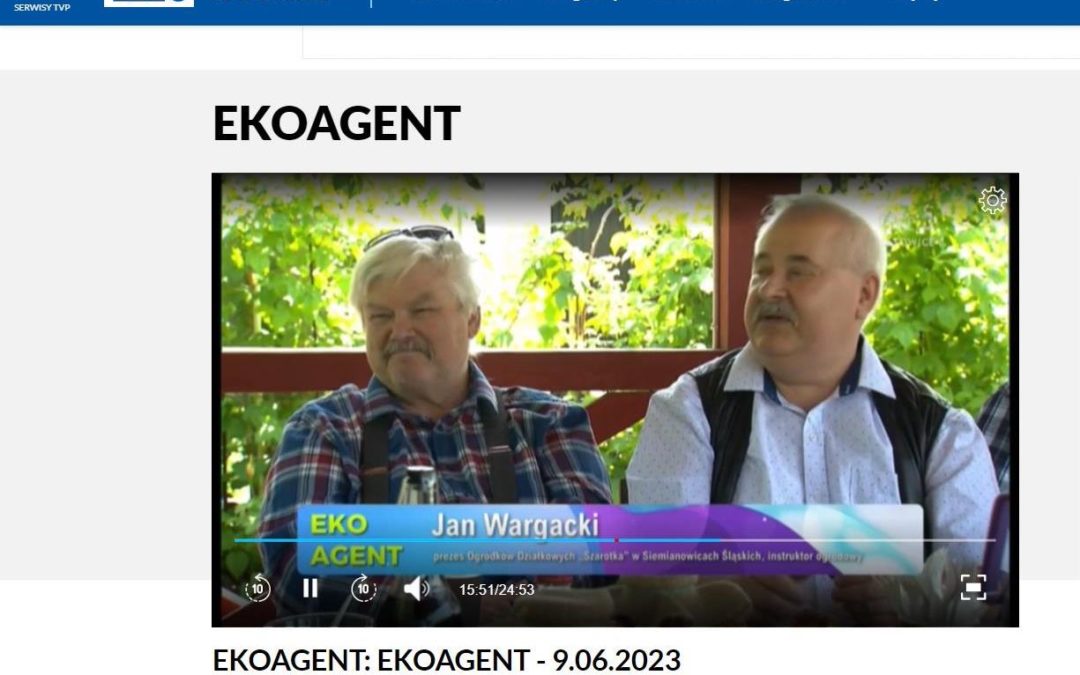 ROD ” Szarotka” z Siemianowic Śl. ponownie na celowniku ” Ekoagenta” w TVP-3