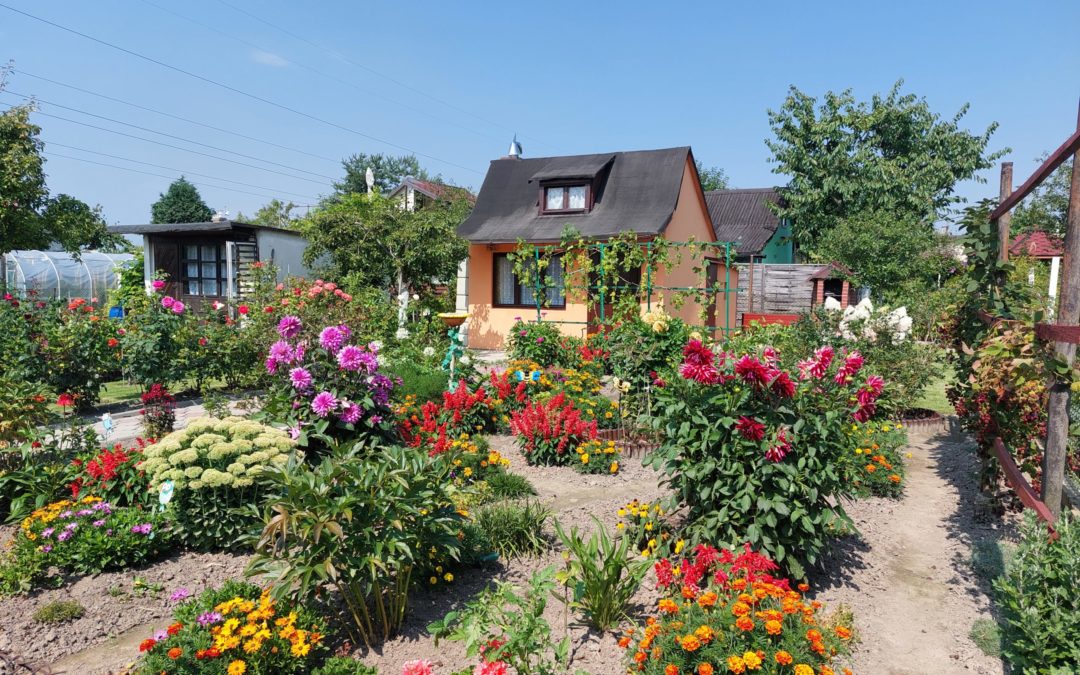 Sierpniowy spacer po Rodzinnym Ogrodzie Działkowym Aster w Żorach