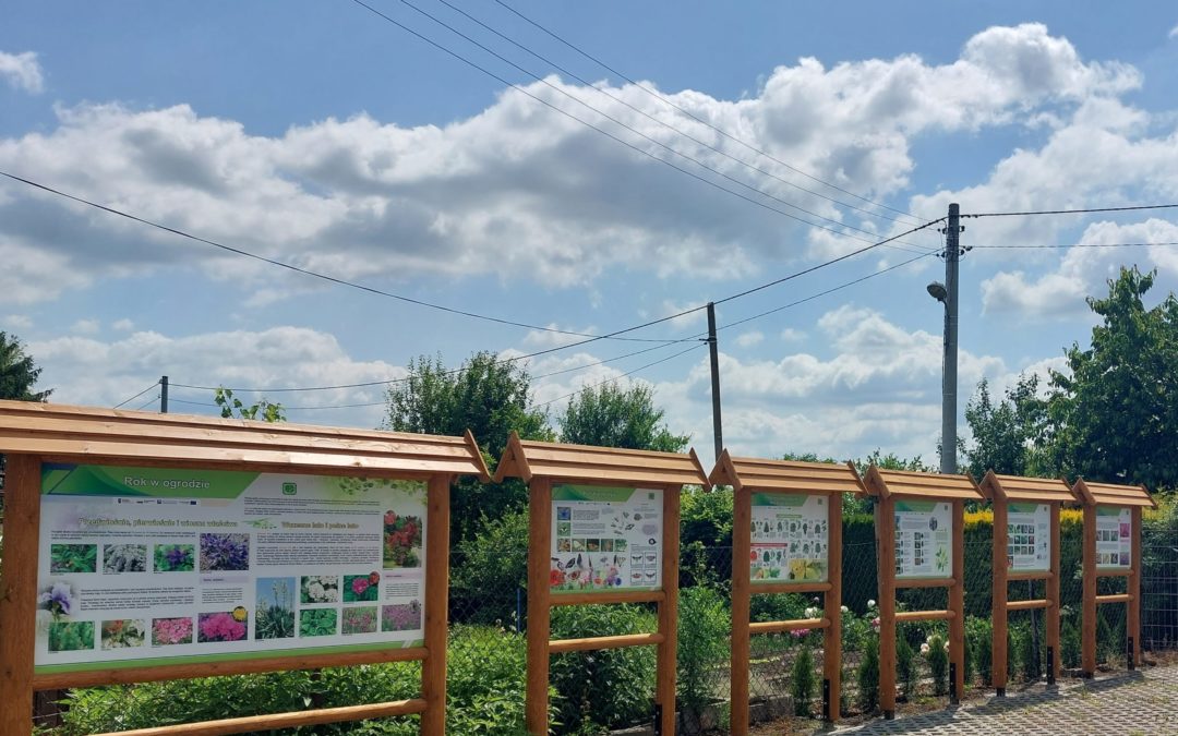Edukacja ekologiczna w ROD Powstańców Śląskich w Raciborzu