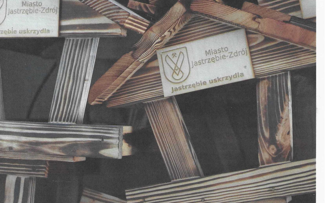 Działkowcy jastrzębskich ROD dokarmiają ptaki zimą