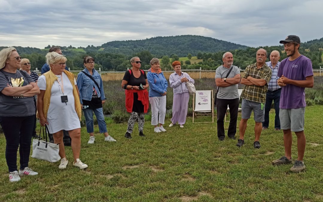 Lawenda i nagietek – szkolenie dla działkowców Okręgu Śląskiego PZD