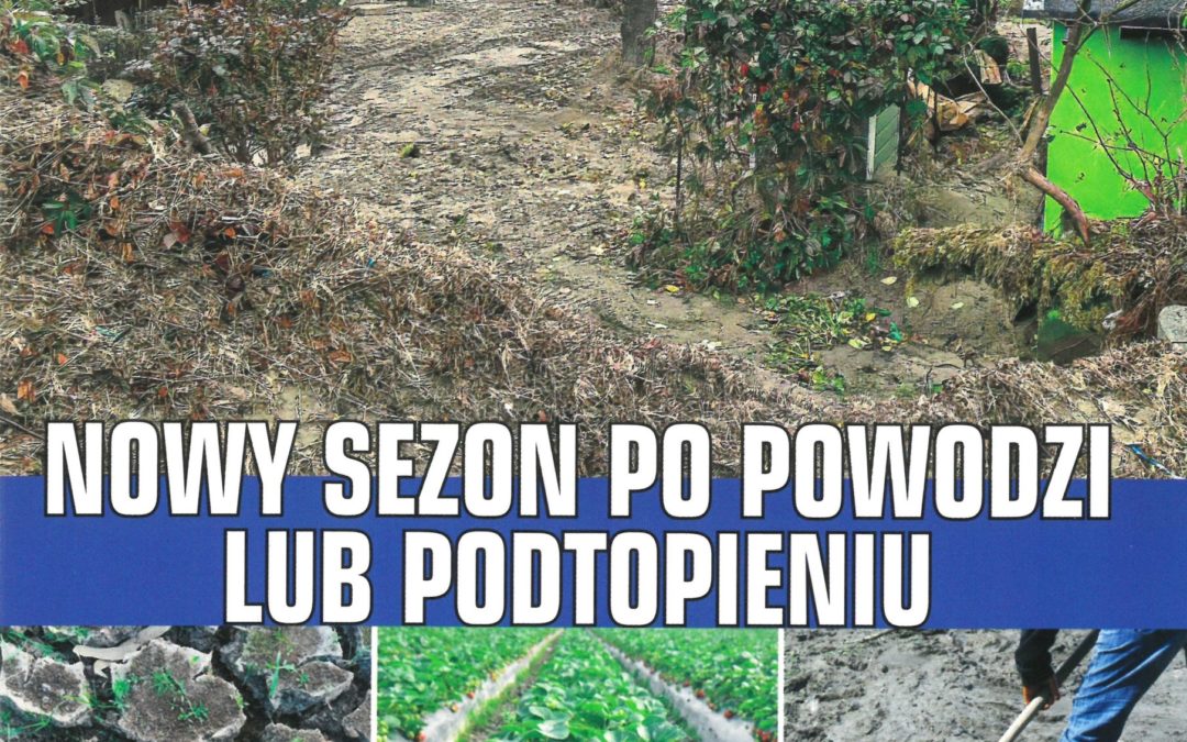 „Nowy sezon po powodzi lub podtopieniu” – broszura wydana przez KZ PZD