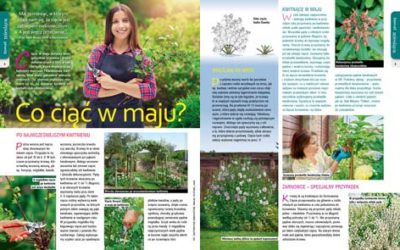 Majowy „Mój Ogródek” – od 18.04 w sprzedaży! Kup, przeczytaj, poleć innym działkowcom i ogrodnikom!