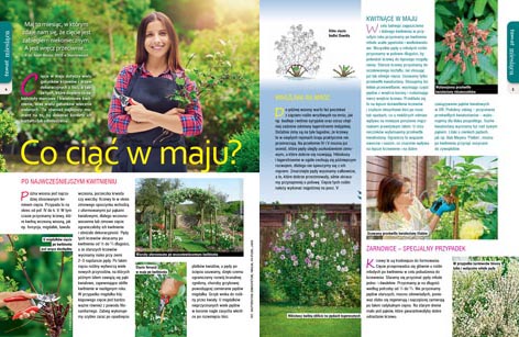 Majowy „Mój Ogródek” – od 18.04 w sprzedaży! Kup, przeczytaj, poleć innym działkowcom i ogrodnikom!