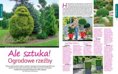Czerwcowy „Mój Ogródek” – od 20.05 w sprzedaży!