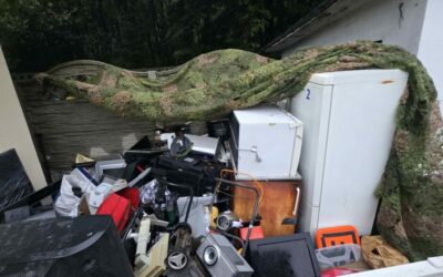 ROD „Zacisze” w Zabrzu z sukcesem w akcji „Posprzątaj ROD – edycja 2025”