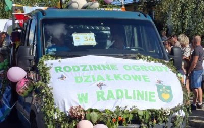 Rodzinne Ogrody Działkowe na Radlińskich Dożynkach 2026